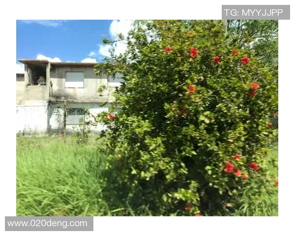 怀旧之旅回顾曾经的足球明星海报与他们的辉煌岁月